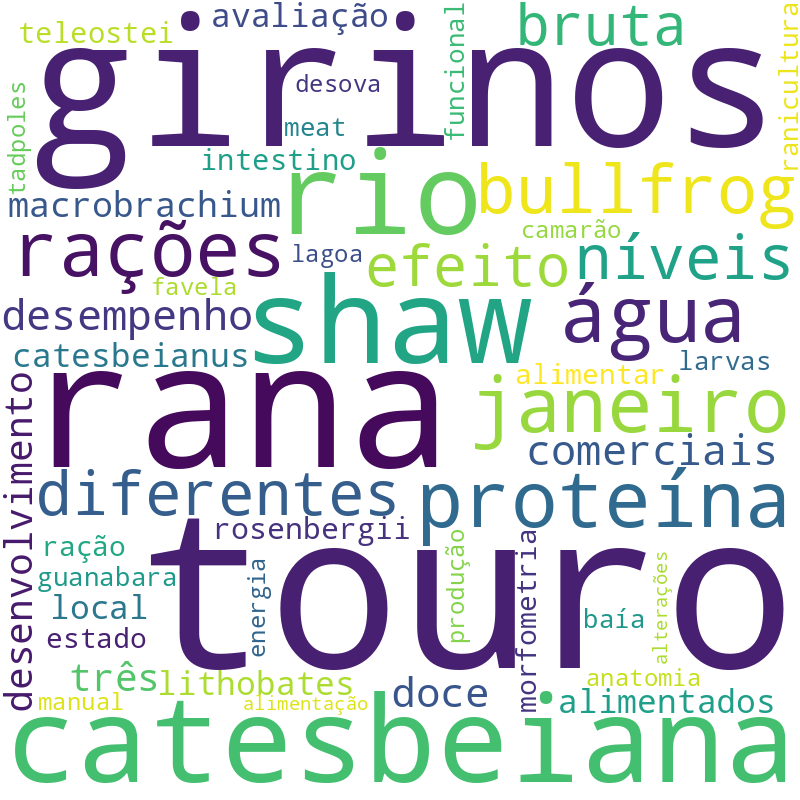 Nuvem de termos dos títulos das publicações