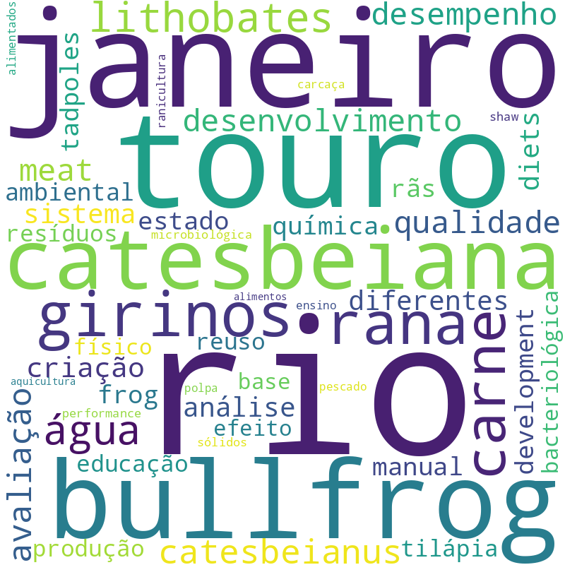 Nuvem de termos dos títulos das publicações
