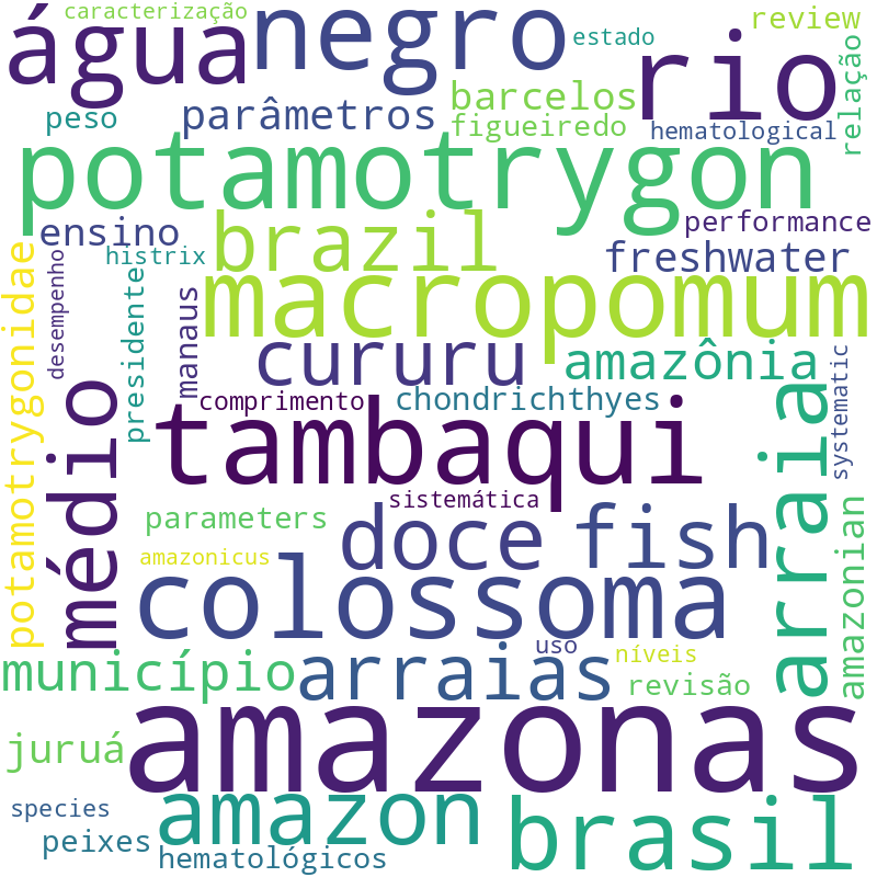 Nuvem de termos dos títulos das publicações
