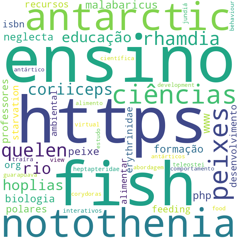 Nuvem de termos dos títulos das publicações