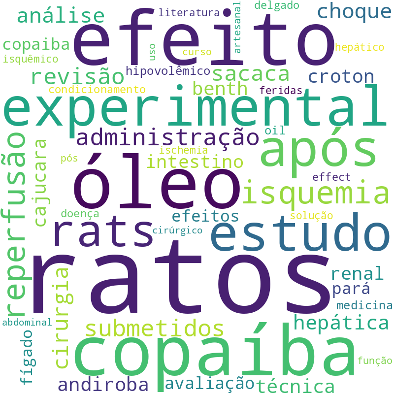 Nuvem de termos dos títulos das publicações