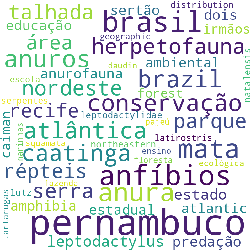 Nuvem de termos dos títulos das publicações
