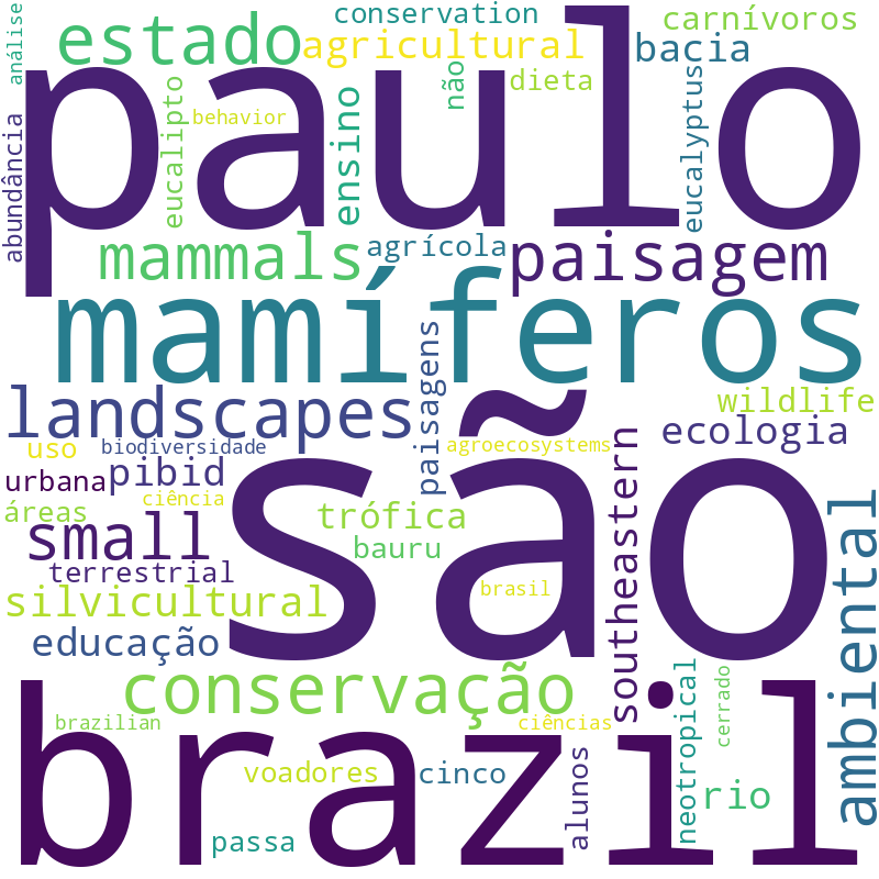 Nuvem de termos dos títulos das publicações
